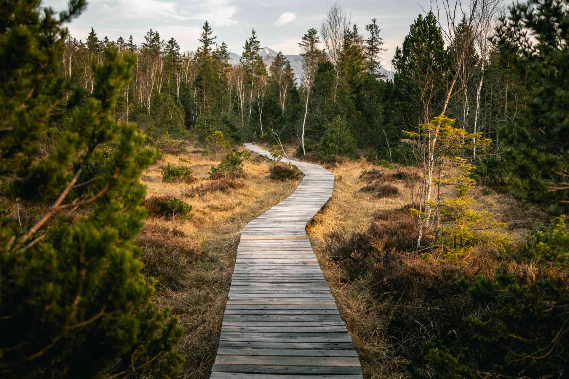 Der Naturwanderweg in Mittenwald.